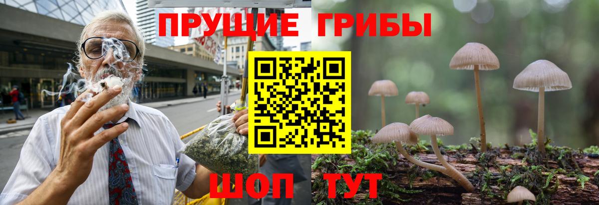 Галлюциногенные грибы Psilocybine cubensis Кызыл