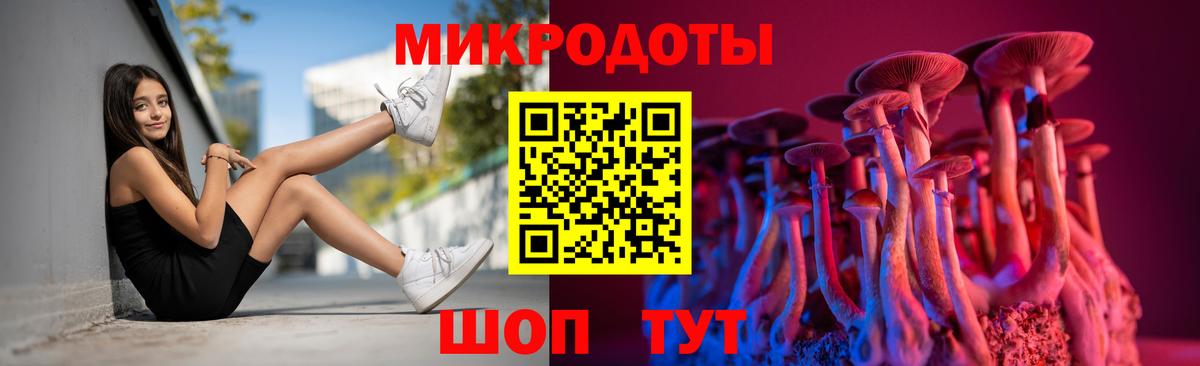 Галлюциногенные грибы мухоморы  Вход с VPN  где продают наркотики  Кызыл 